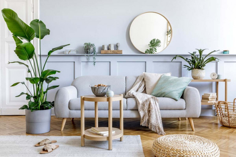 The Art of Home Decor: Creating a Stylish and Comfortable Space